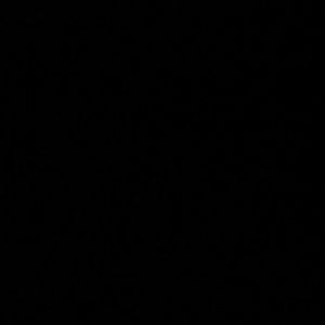 Meet your Posher, Darius